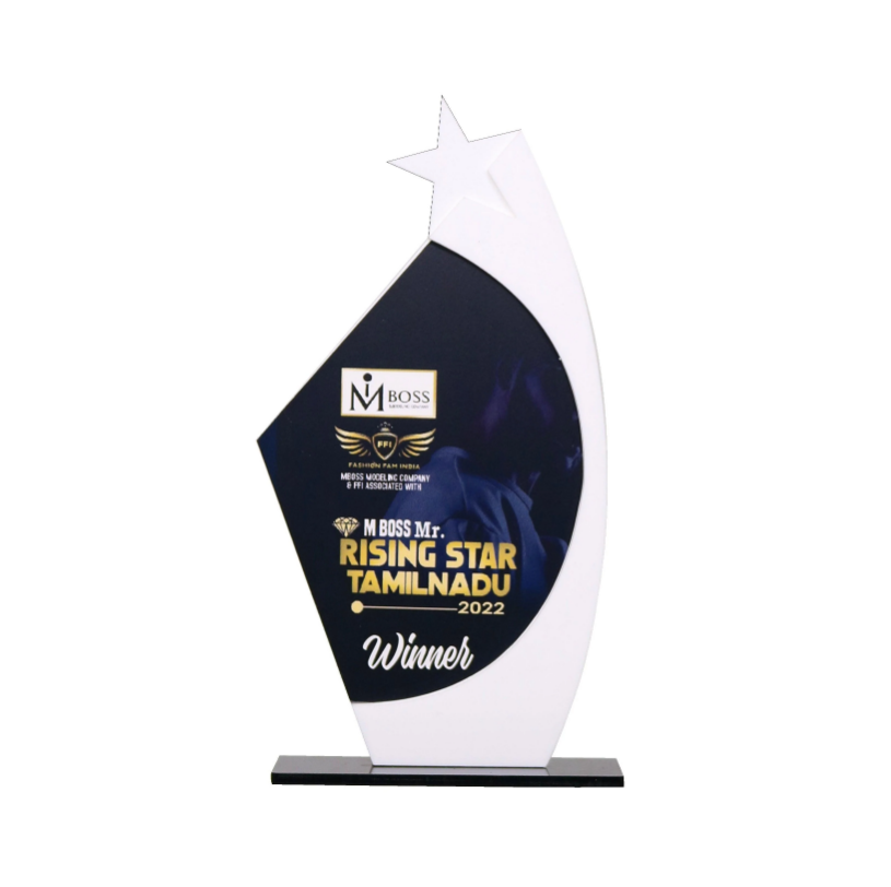 Mannar Craft Acrylic Customized Mementos,8 X 4 Inches