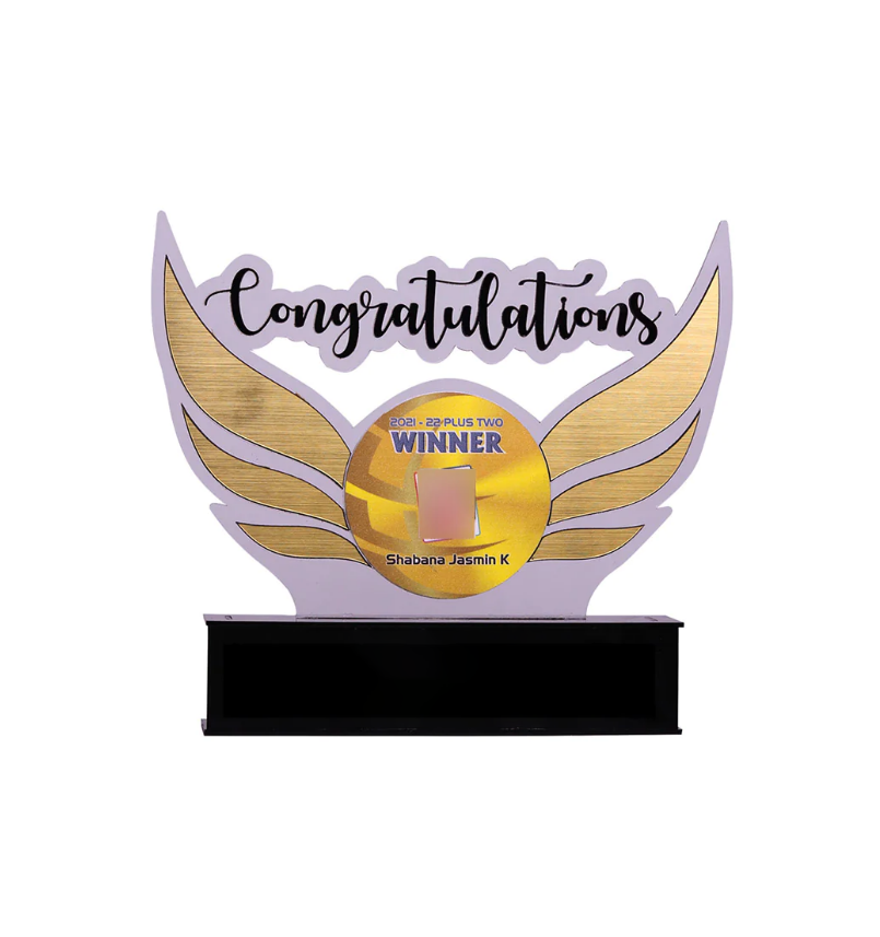 Mannar Craft Multi color Acrylic Memento