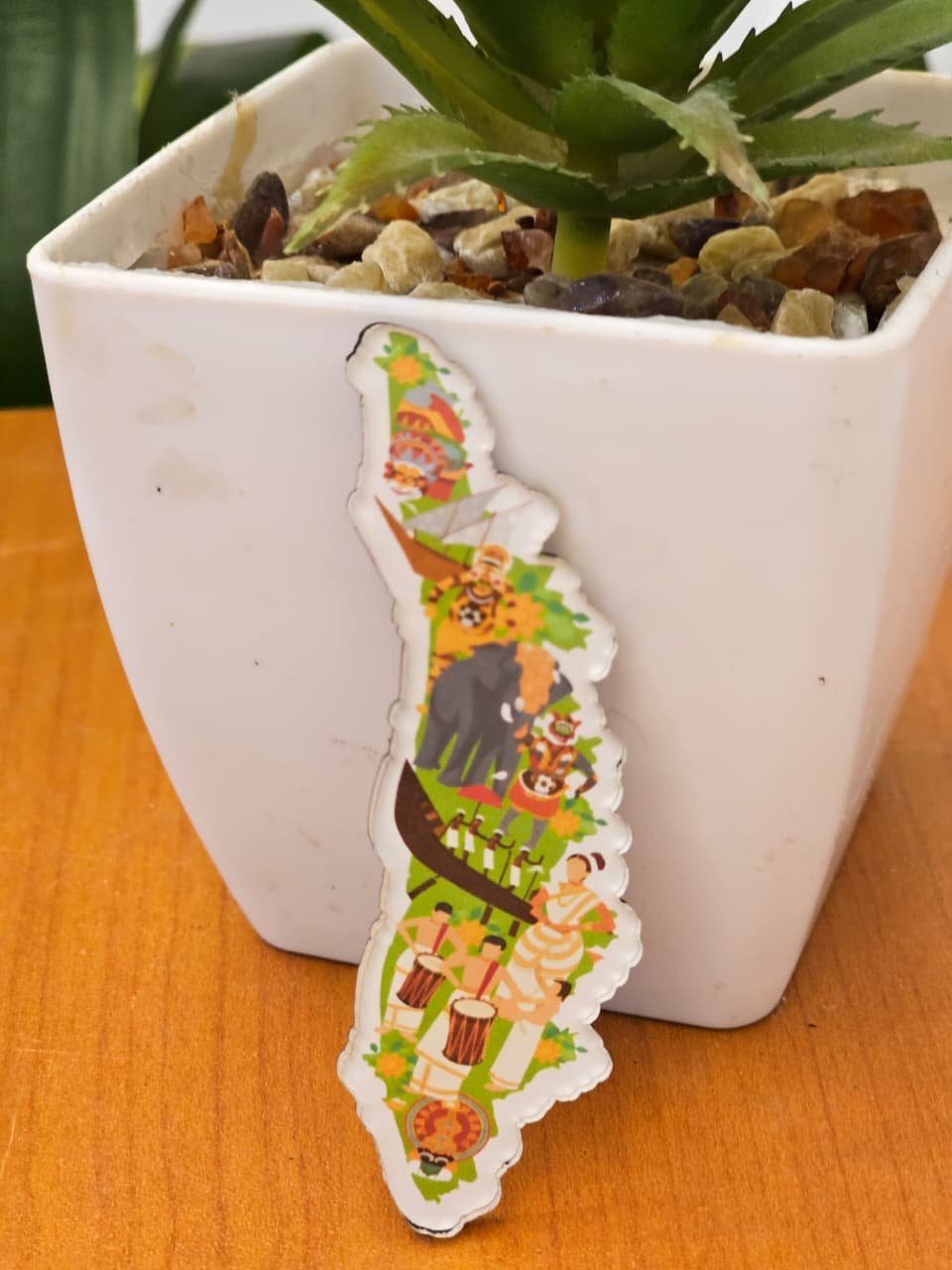 KERALAM  - Acrylic Fridge Magnets – Stylish Decorative Kitchen Magnets